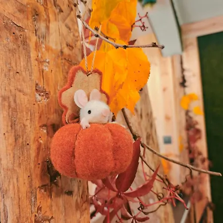 Апартамент Hide Hub Guest Велико Търново