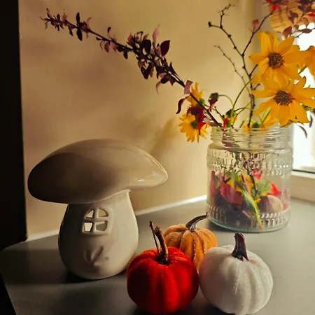 Hide Hub Guest Апартамент