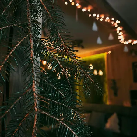 Hide Hub Guest * Велико Търново