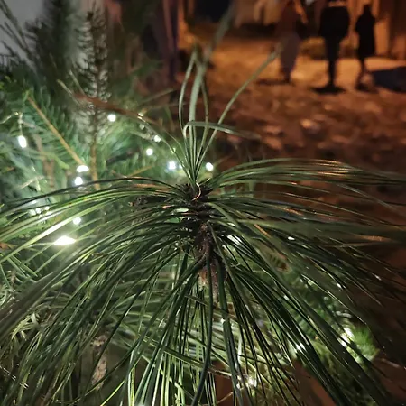 Апартамент Hide Hub Guest Велико Търново