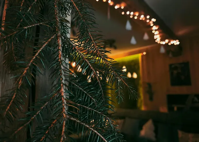 Hide Hub Guest * Veliko Tarnovo