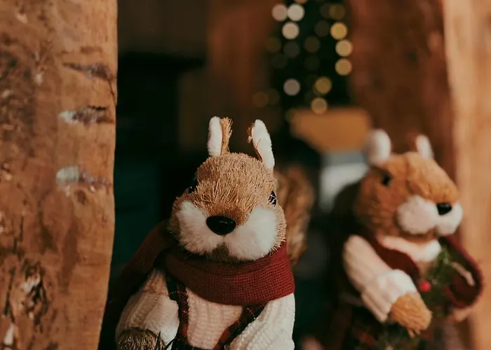 Apartment Hide Hub Guest