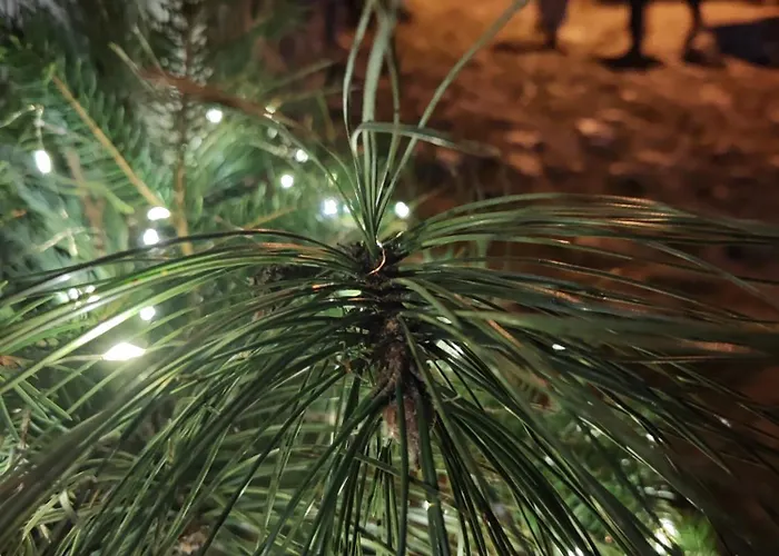 Διαμέρισμα Hide Hub Guest Βελίκο Τίρνοβο